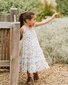 Bebe Libby Tiered Butterfly Dress