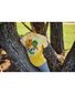 Radicool Dude Tie Dye Skater Tee