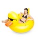 Big Mouth Pool Float - Giant Duck