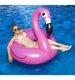 Pink Flamingo Pool Float