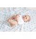 Aden & Anais 2pk Organic Swaddles - Mariposa