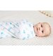 Aden & Anais 2pk Organic Swaddles - Mariposa