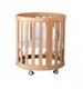 Babyhood Kaylula Sova 5 in 1 All Wood Cot - Beech