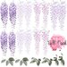 Little Rae Prints Purple Wisteria Wall Decals - Full pack