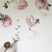Little Rae Prints Blush Peony & Rose Wall Decals - Full pack