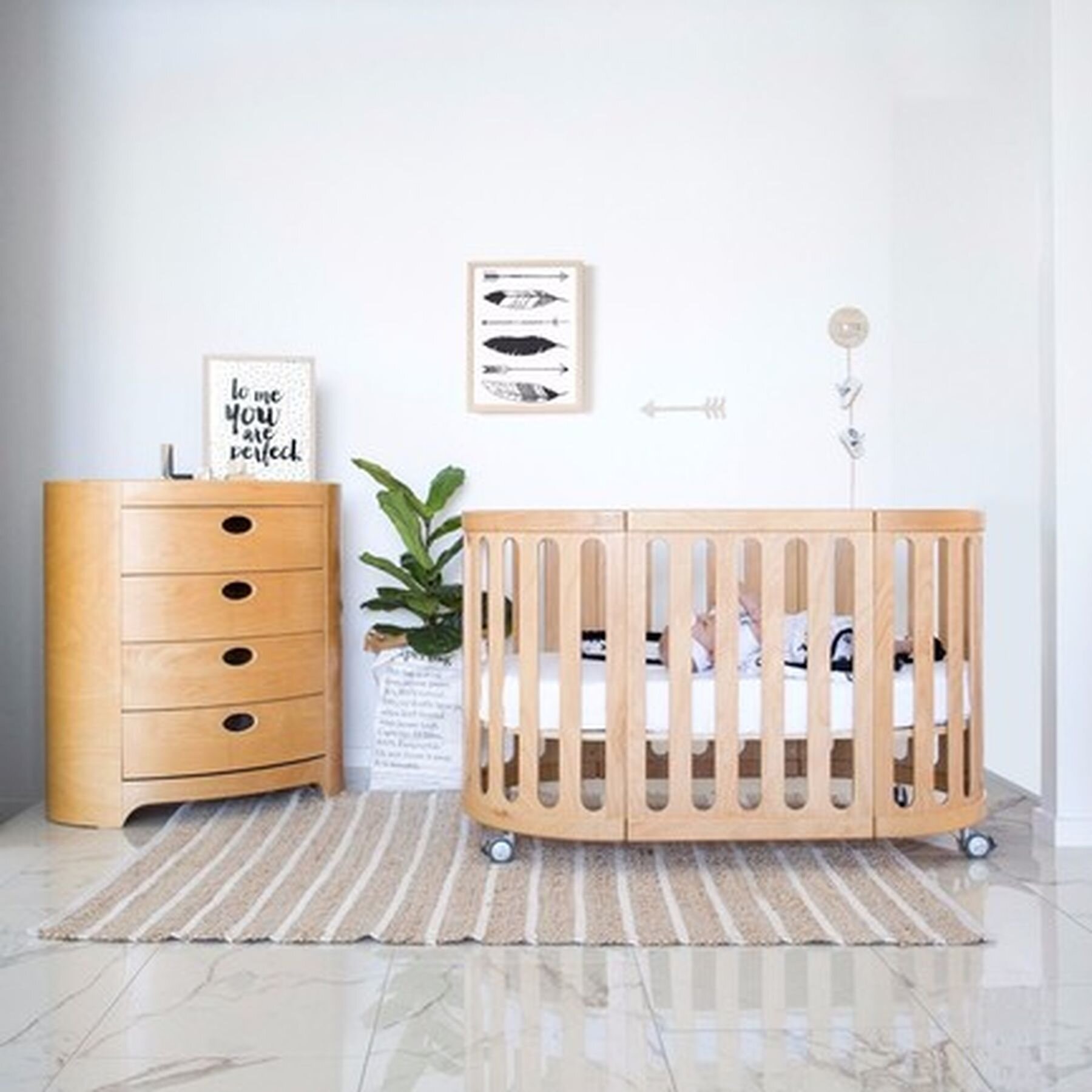 beech wood cot