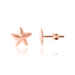 Twinkly Sea Star Earrings - Rose Gold