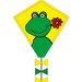 Eddy 50cm Diamond Kite - Happy Frog