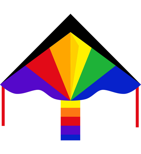 Simple Flyer 120cm Kite - Rainbow