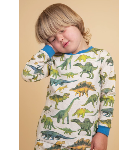 Rock Your Kid Dino Snore PJ Set