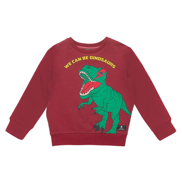 Rock Your Kid We Can Be Dinosaurs Sweatshirt - CLOTHING-BOY-Boys ...