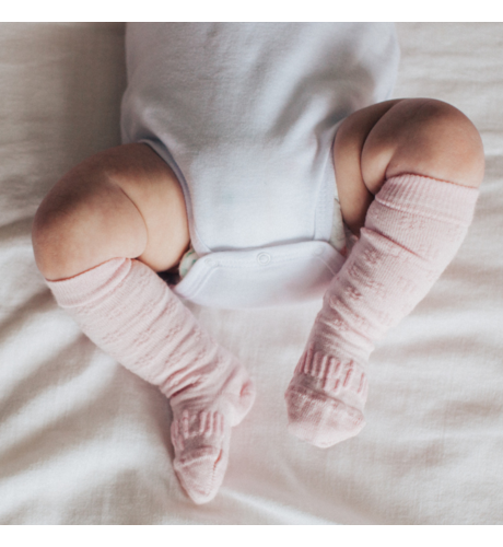 Lamington Merino Knee High Baby Socks - Dahlia