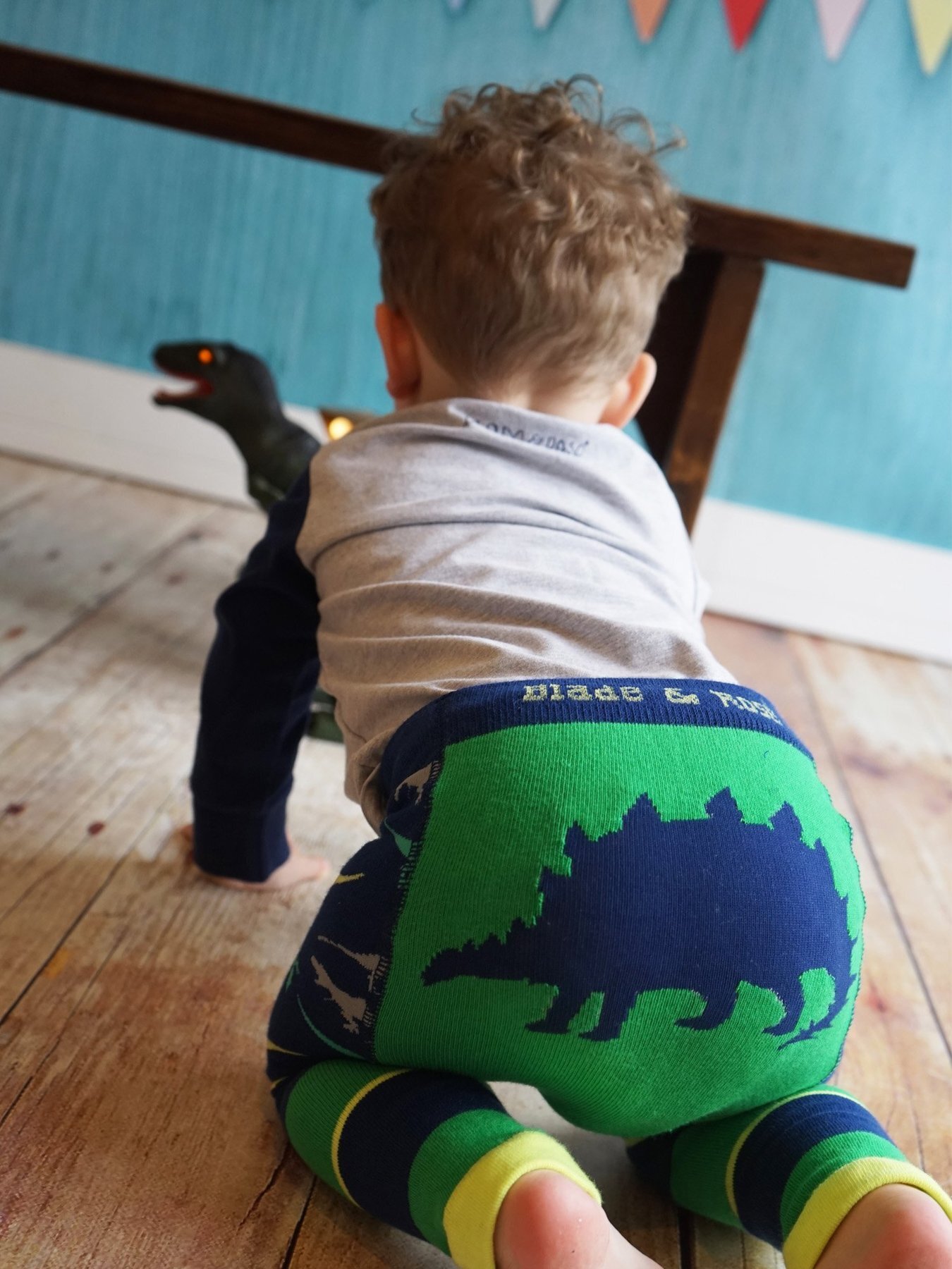 blade and rose tights