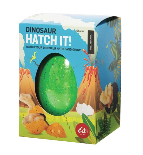 Hatch It - Dinosaur Large