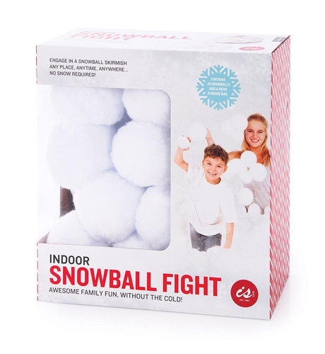 Indoor Snowball Fight!