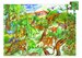 Djeco Dinosaurs 100pc Puzzle