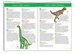 Djeco Dinosaurs 100pc Puzzle