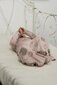 Merino Kids Sleep Gown - Misty Rose Foraging Friends