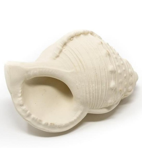 Lanco Karacola Whelk Shell