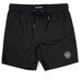 Santa Cruz Cruizer Solid Beach Short - Black