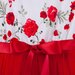 Designer Kidz S/S Tutu Dress - Penny Red