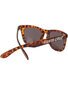 Santa Cruz Strip Sunglasses - Tortoiseshell
