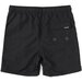 Santa Cruz Cruzier Reactive Youth Beach Shorts - Black