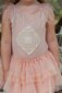 Arthur Ave Feathered Tutu Dress - Peach Pink