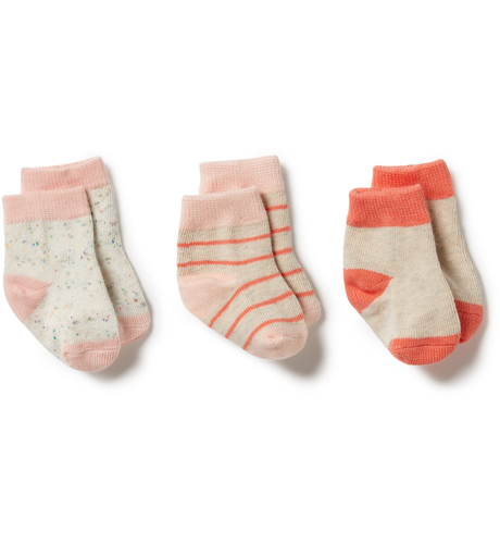 Wilson & Frenchy Organic 3Pk Socks - Silver Peony/Fog/Coral