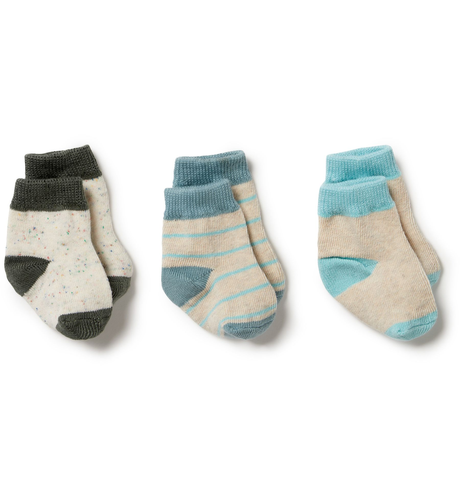 Wilson & Frenchy Organic 3Pk Socks - Shadow/Arctic/Mint
