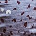 LFOH  Marlow PJ Set - Grey Marle Sprinkles
