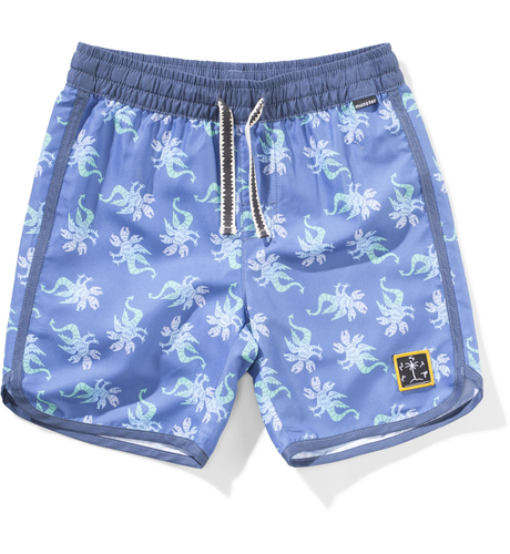 Munster Dragon Tale Boardshorts - Blue