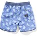 Munster Dragon Tale Boardshorts - Blue