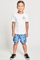 Munster Dragon Tale Boardshorts - Blue