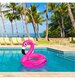 Pink Flamingo Pool Float