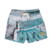 Rock Your Kid The Pools Mesh Lined Boardshorts