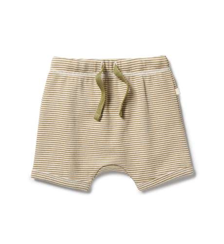 Wilson & Frenchy Organic Stripe Rib Tie Front Short - Leaf