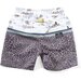 Munster Gameisland B/short - Charcoal Leo