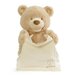 Gund Animated Peek-a-Boo Bear