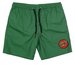 Santa Cruz Classic Dot Cruzier Beach Shorts - Green