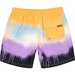 Santa Cruz Opus Dot Drip Beach Short - Tie Dye