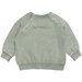 Huxbaby Dino Racer Sweatshirt - Vintage Fern