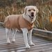 Crywolf Ruff Pet Jacket - Tan