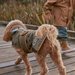 Crywolf Ruff Pet Jacket - Khaki Stones