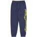 Santa Cruz Vortex Track Pant - Vintage Blue