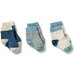 Wilson & Frenchy Organic 3 Pk Baby Socks - Arctic Blast