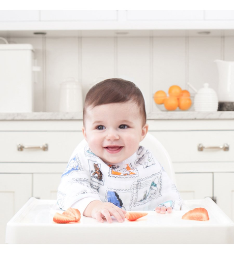 Aden & Anais Burpy Bibs - Winnie Pooh