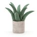 Jellycat Amuseable Aloe Vera - Big