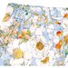 Toshi Baby Shorts Claire - Dusk