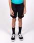 Santa Cruz Classic Dot Cruzier Short - Black